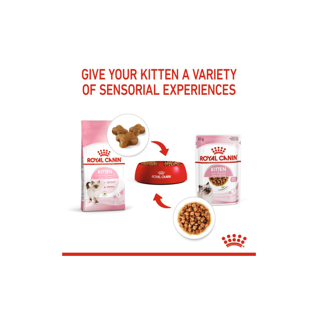 Royal Canin Feline Health Nutrition Kitten Gravy (WET FOOD)