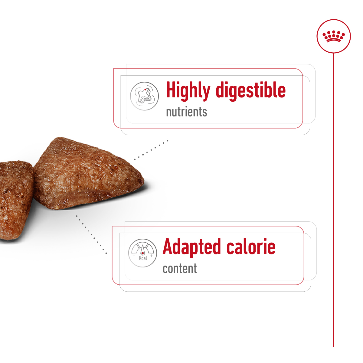 Royal Canin Size Health Mini Indoor Adult Dry Dog Food 1.5kg