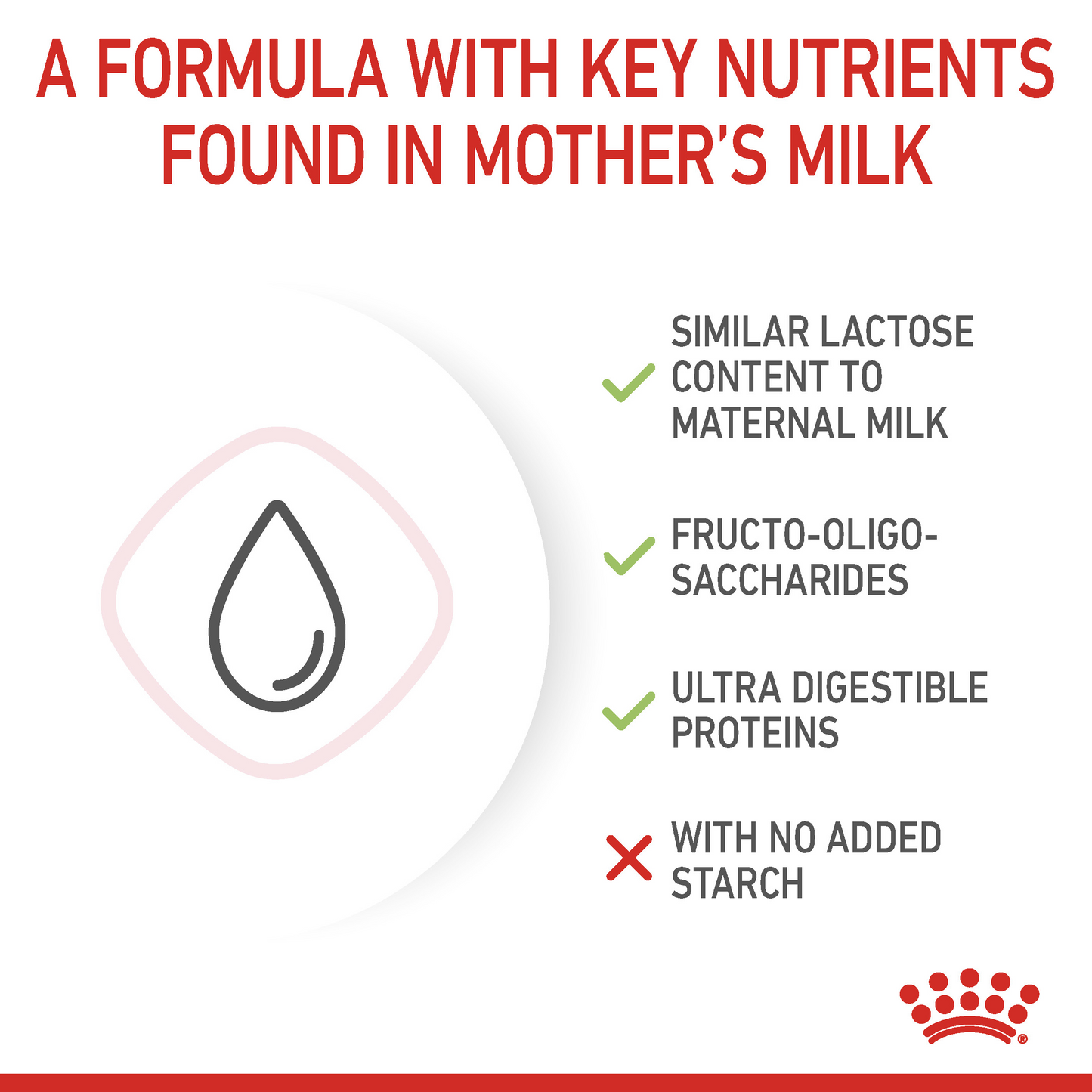 Royal Canin Feline Health Babycat Milk Powder 300g