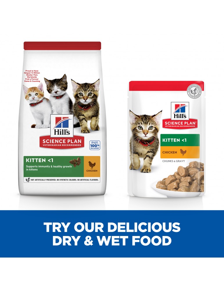 Hills Science Plan Kitten Wet Food Chicken Flavor