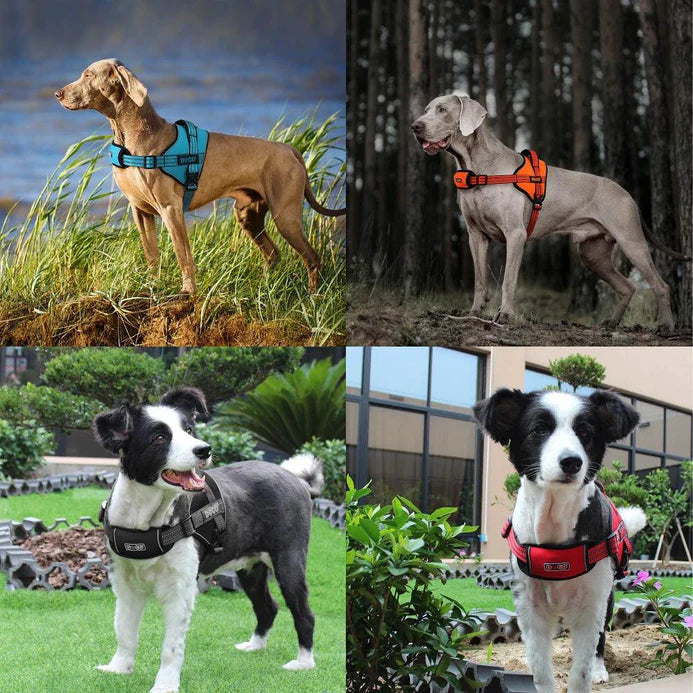 Doco Vertex Power Harness Previous (Dvx1) – Durable Power Dog Harness