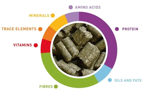 Padovan Wellness Guinea Pigs Food High-Fiber Blend - 1kg