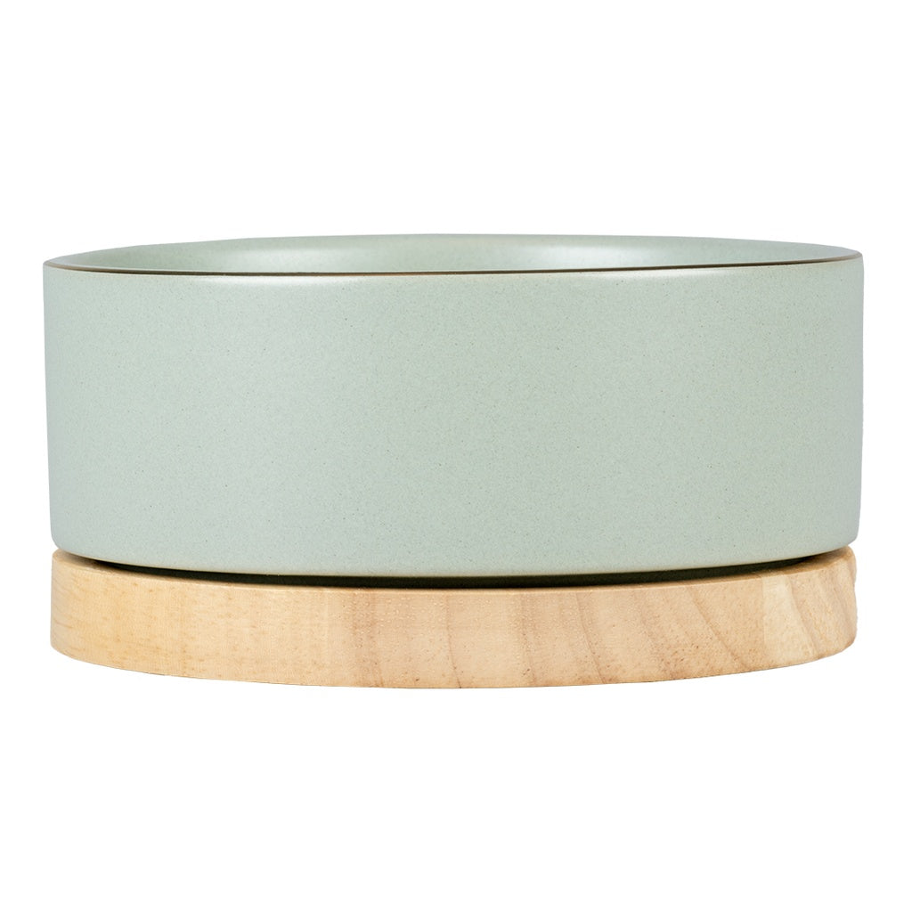 Duvo+ Feeding Bowl Stone Timber
