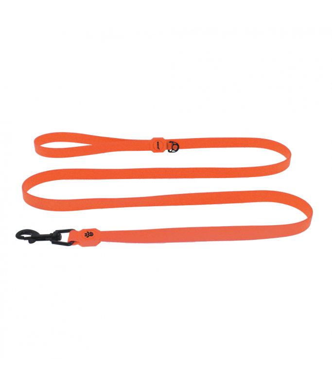 Doco Jelly Bean Dog Leash 6Ft