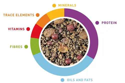 Padovan Gran Patee Fruits Soft Egg Food For Birds