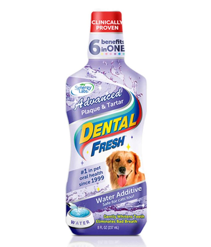 Synergy Labs Dental Fresh Dog Water Additive 503ml – Plaque & Tartar