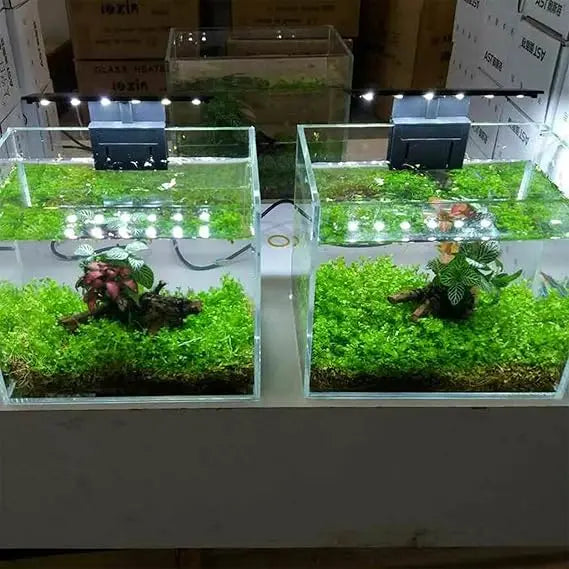 Roxin LED Top Light White Energy-Efficient Tank Light