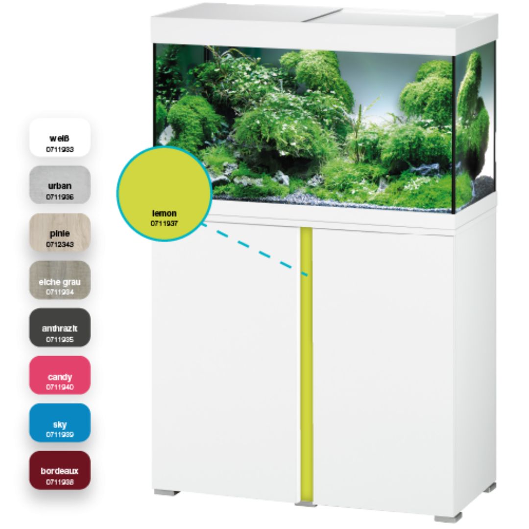 Fish tank with greenery inside and color swatches on the left side