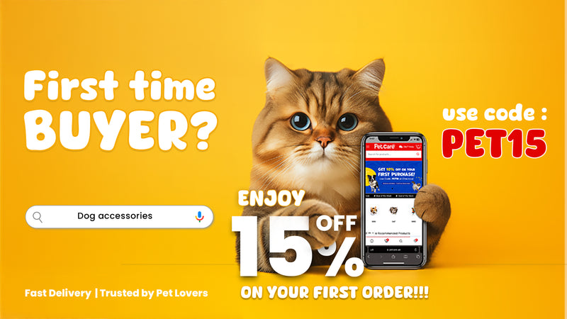 Promotional banner for PetCare.ae offering 15% off for first-time buyers using code PET15, featuring a cute cat holding a smartphone displaying the PetCare website, with a search bar for dog accessories and a bright yellow background.