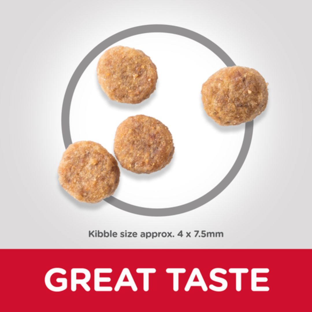 Hills Science Plan Small & Mini Adult Dog Food With Chicken - 1.5Kg