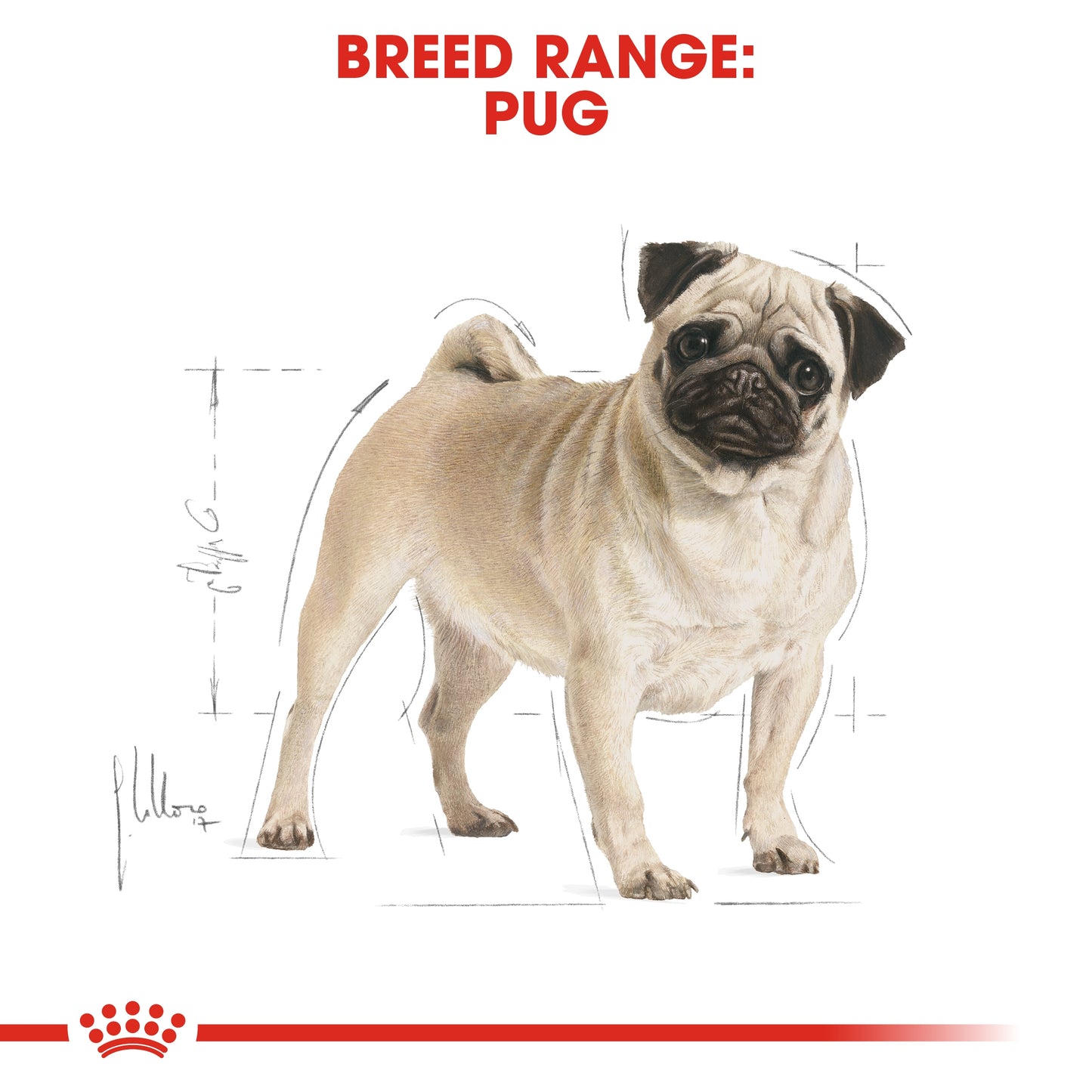 Royal Canin Breed Health Nutrition Pug Adult Dry Food - 1.5kg