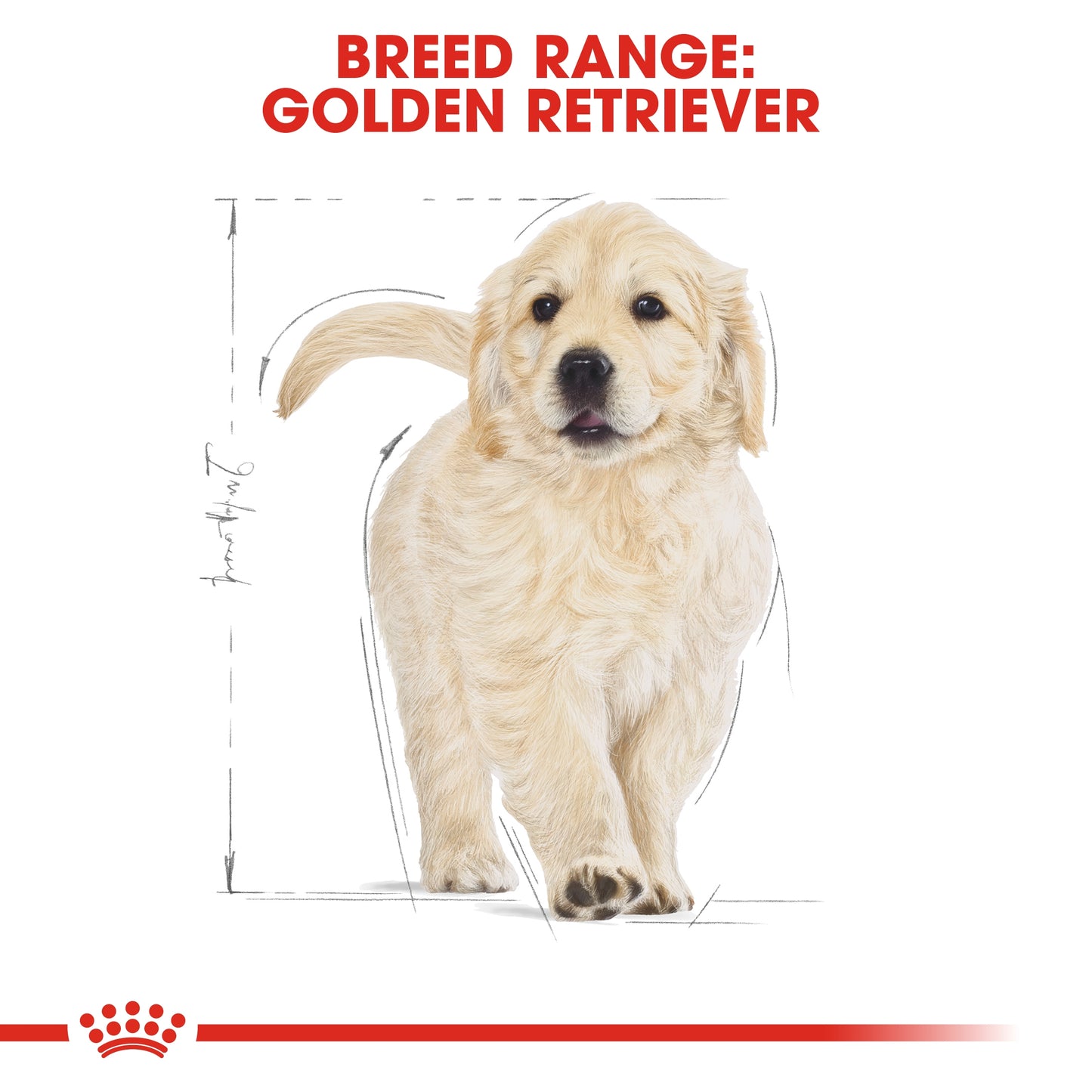 Royal Canin Breed Health Nutrition Golden Retriever Puppy Dry food 12kg
