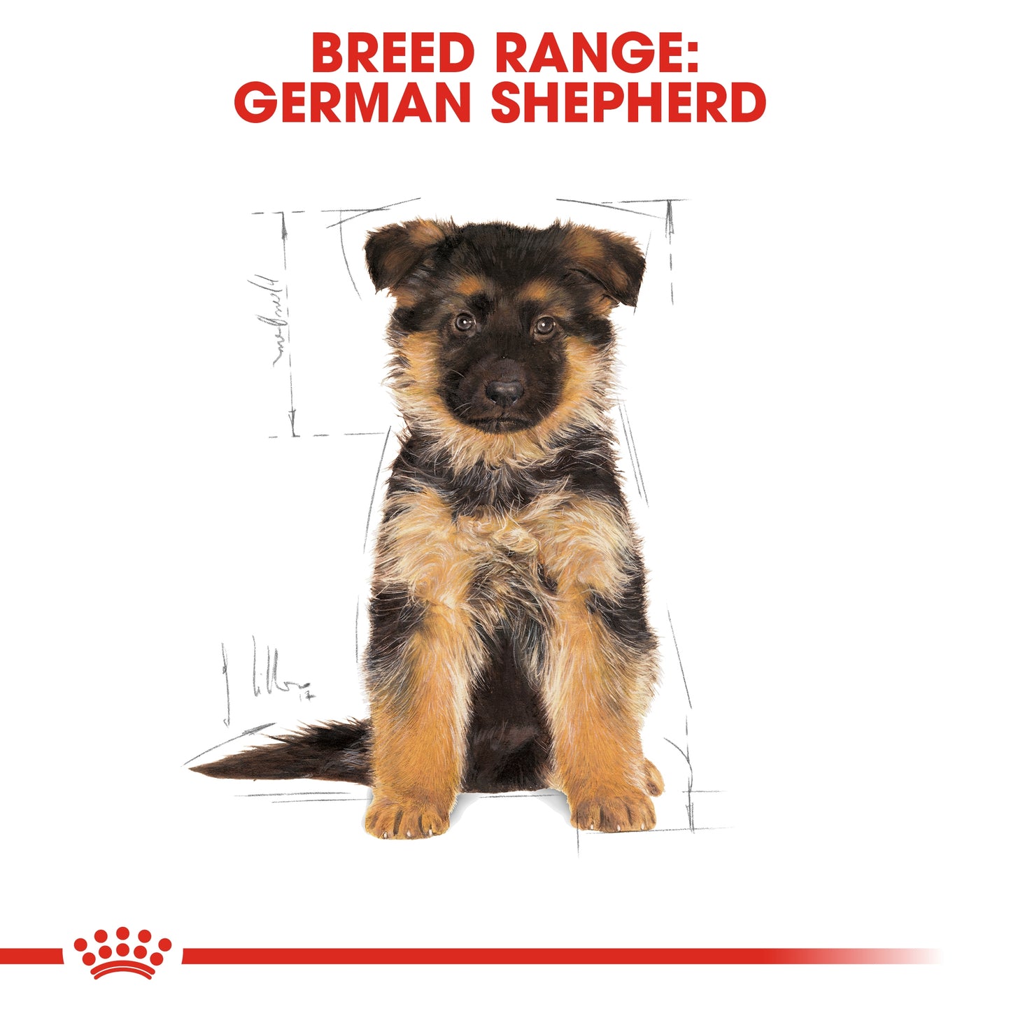 Royal Canin Breed Health Nutrition German Shepherd Puppy Dry food 3kg