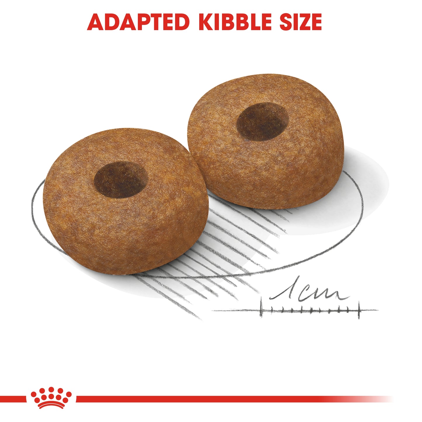 Royal Canin Size Health Medium 10+ Ageing Dry Dog Food