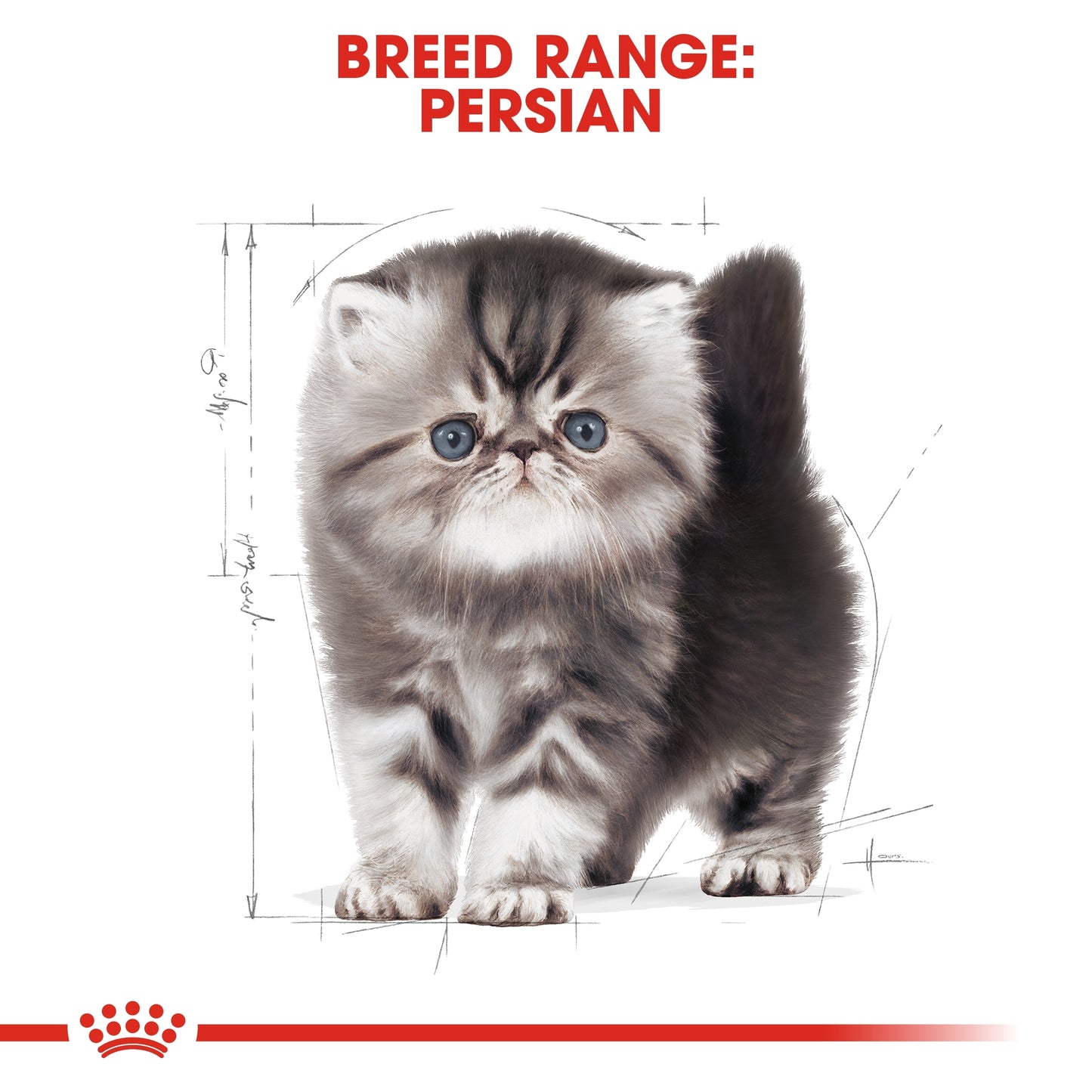 Royal Canin Feline Breed Nutrition Persian Kitten Dry food 400g