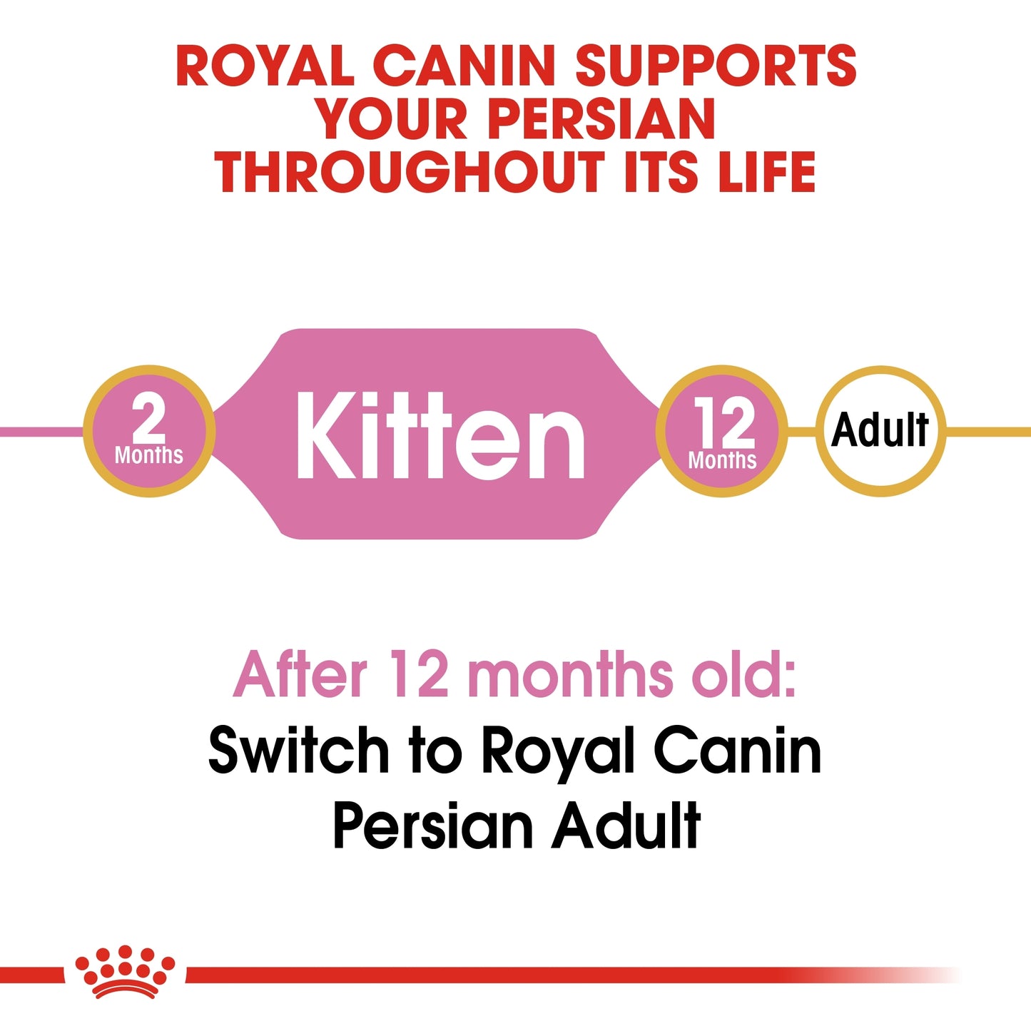 Royal Canin Feline Breed Nutrition Persian Kitten Dry food 400g