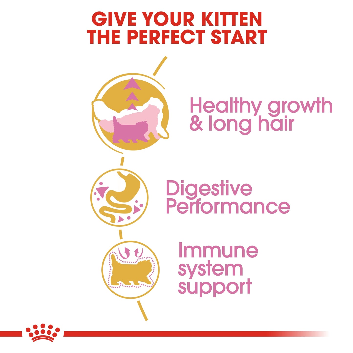 Royal Canin Feline Breed Nutrition Persian Kitten Dry food 400g