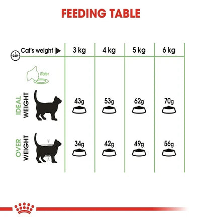 Royal Canin Feline Nutrition Digestive Care Cat Dry Food