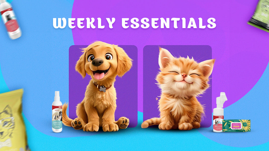 PetCare.ae Weekly Essentials banner featuring a happy puppy and kitten with pet care products including sprays, treats, and grooming items, on a vibrant blue and purple background – shop must-have items for dogs and cats.