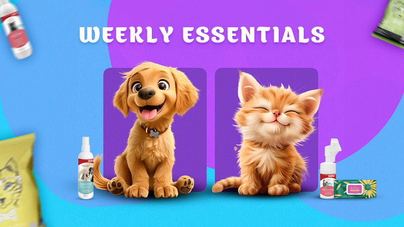 PetCare.ae Weekly Essentials banner featuring a happy puppy and kitten with pet care products including sprays, treats, and grooming items, on a vibrant blue and purple background – shop must-have items for dogs and cats.