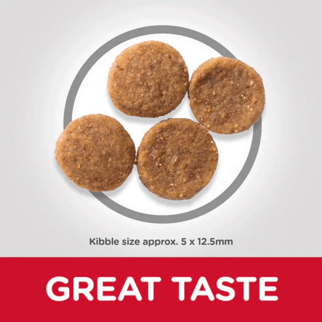 Dog food kibble on a plate with 'GREAT TASTE' text on a grey background
