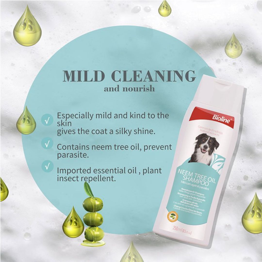 Bioline Neem Tree Oil Shampoo packaging with product details on a light background