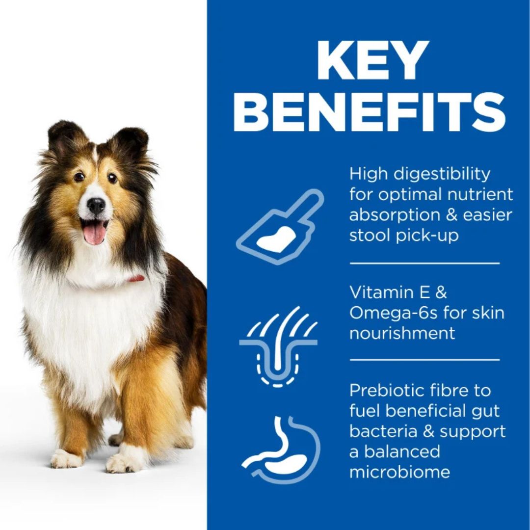 Dog with key benefits of a pet food product on a blue background