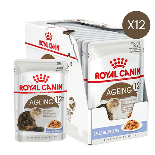 Royal Canin Feline Health Nutrition Ageing 12+ Jelly Cat Wet Food - 12X85G