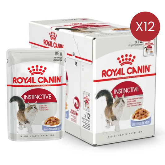 Royal Canin Feline Health Nutrition Instinctive Adult Cats Jelly Wet Food - 12x85g