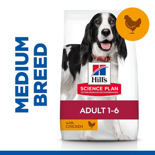 Hills Science Plan Medium Adult Dog Food With Chicken