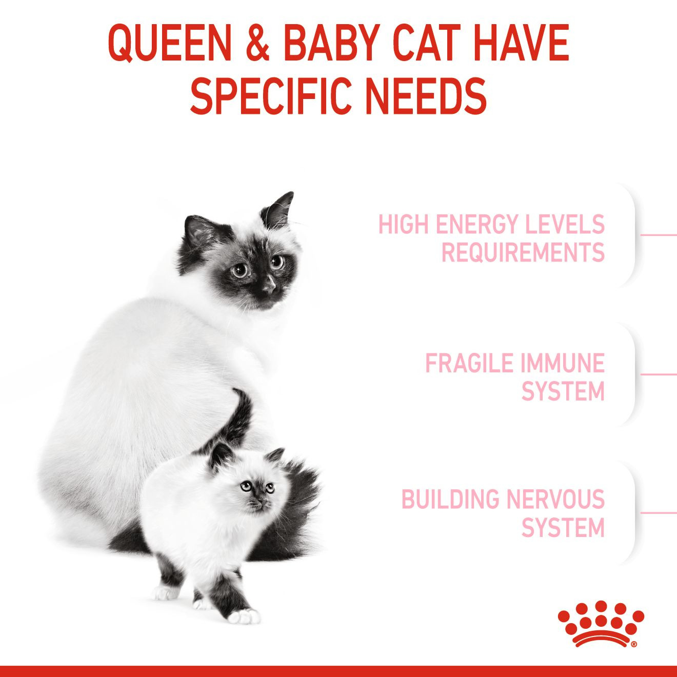 Royal Canin Feline Health Mother & Babycat ‚4kg Nursing & Weaning Formula