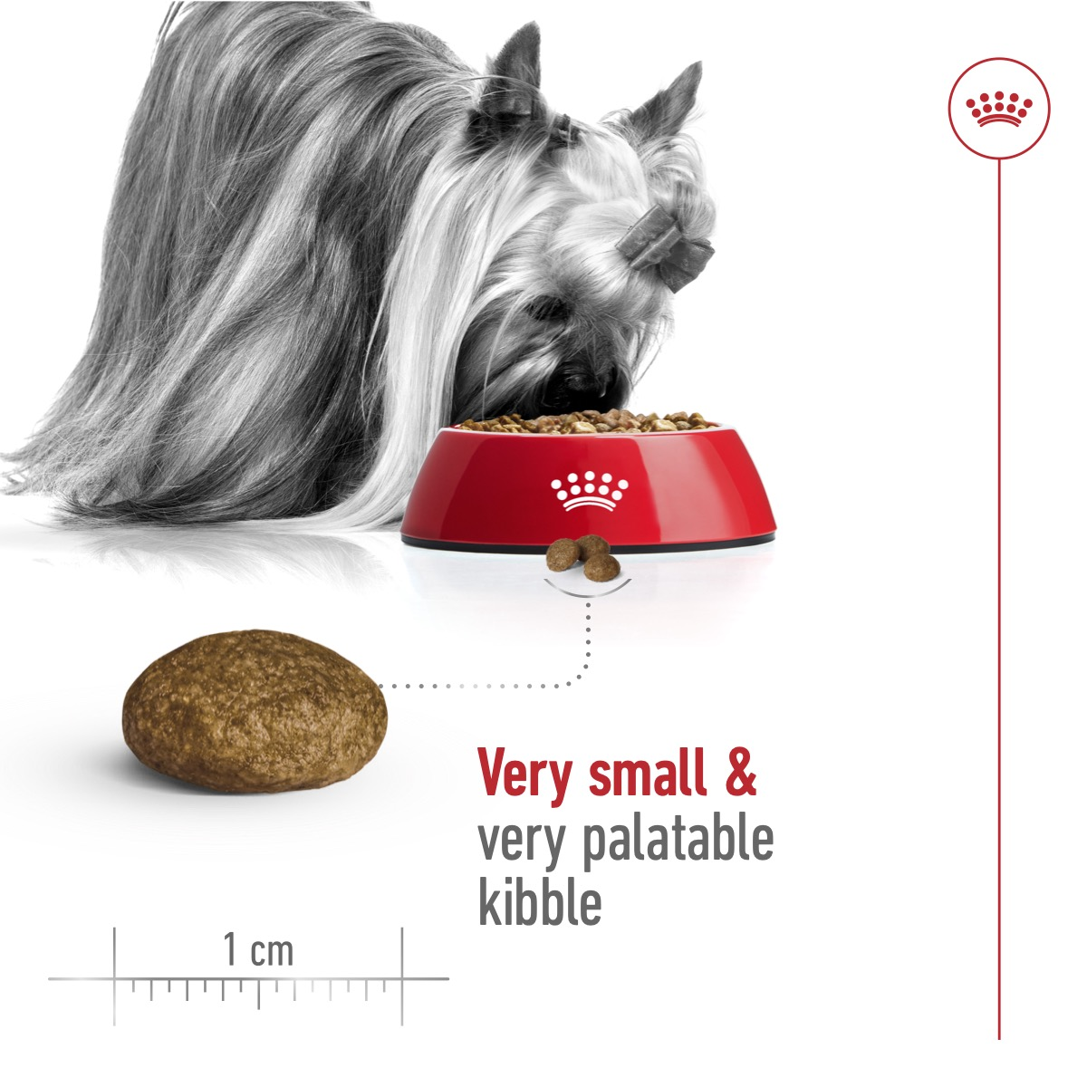 Royal Canin Size Health XS Adult Dry Dog Food 1.5kg