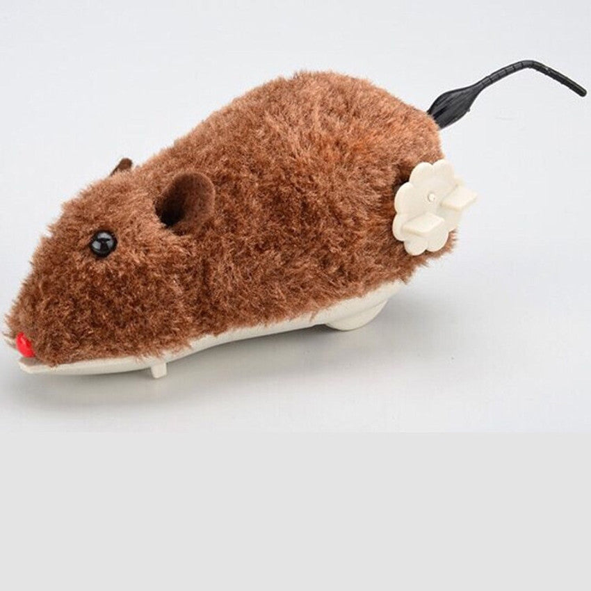 Petbroo Cat Mouse With Key