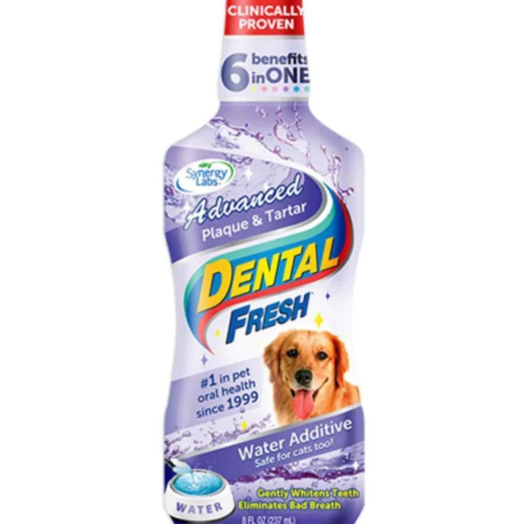 Synergy Labs Dental Fresh Dog Water Additive 500ml – Plaque & Tartar
