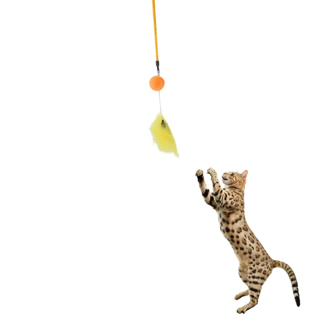 Catry Cat Toy