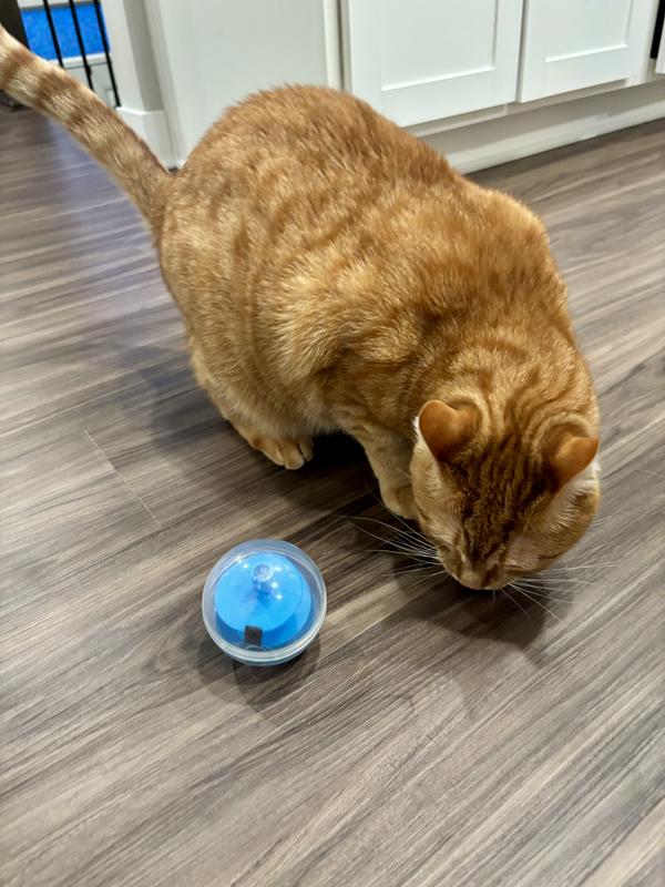Duvo Cat Treat Ball With Sisal Blue - Cat Toycolor: Blue