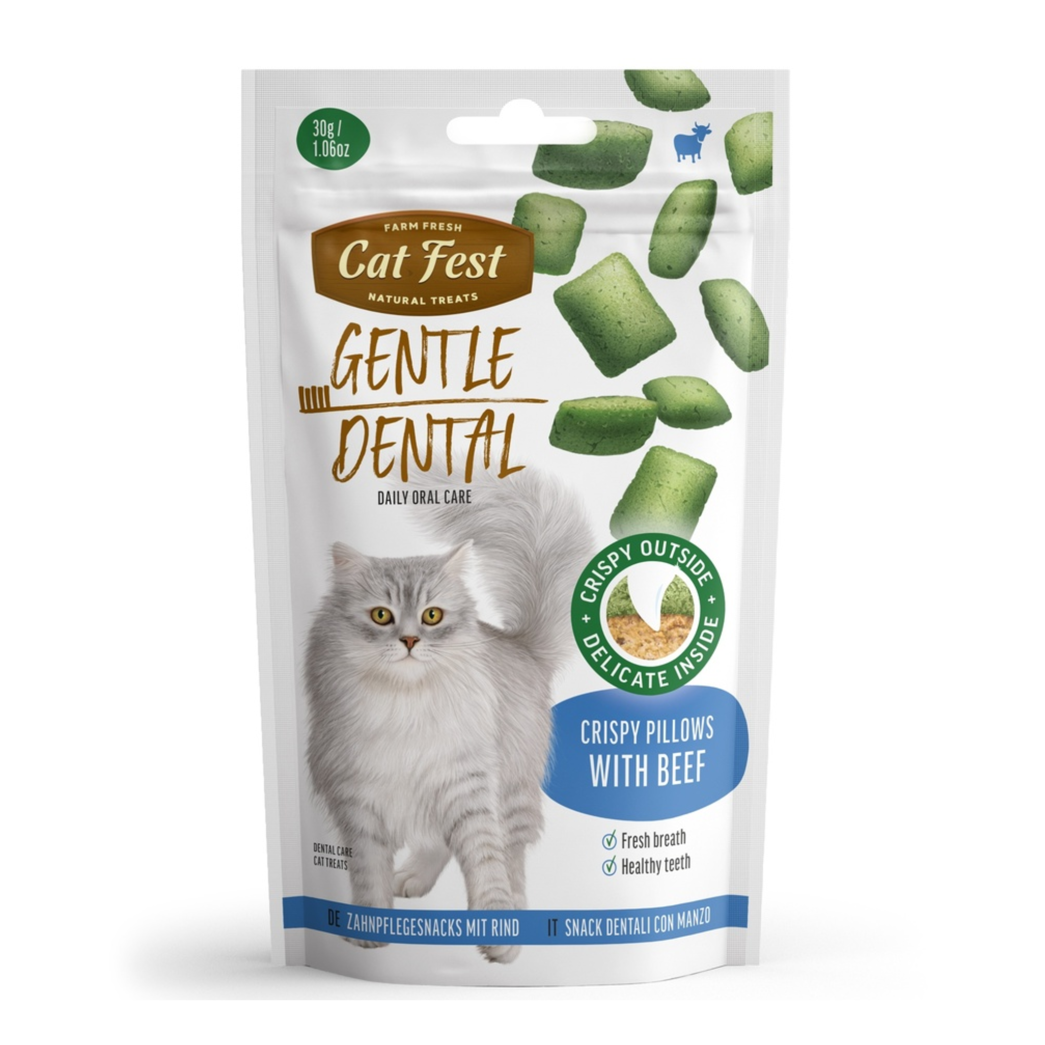 Cat Fest Dental Cat Treats Crispy Pillows Beef - 30g