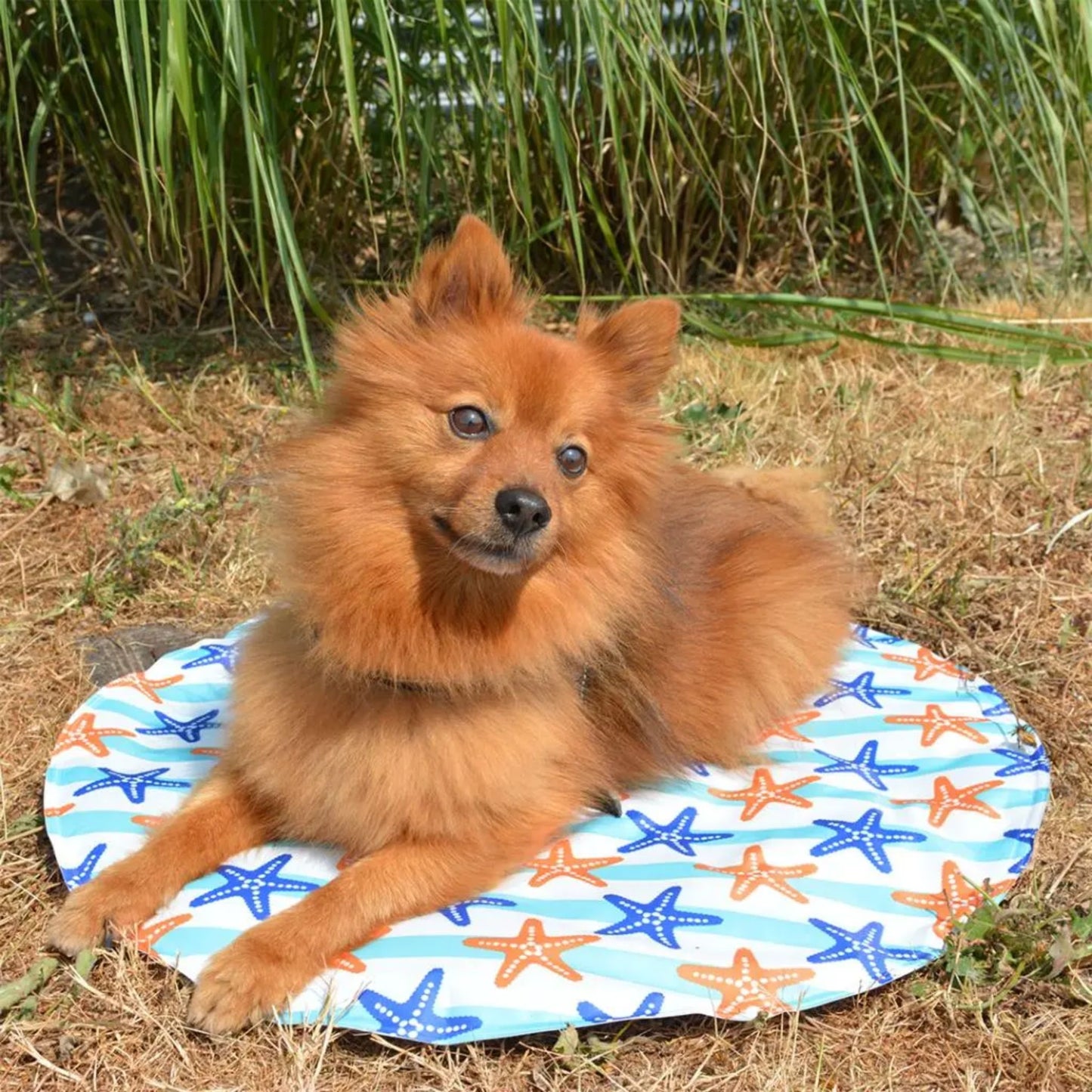 Duvo+ Cooling Mat Round Mixed Color