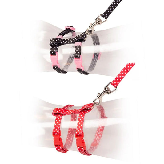 Duvo+ Kitten Harness & Leash Set – Black/Red, 15-25cm / 125cm
