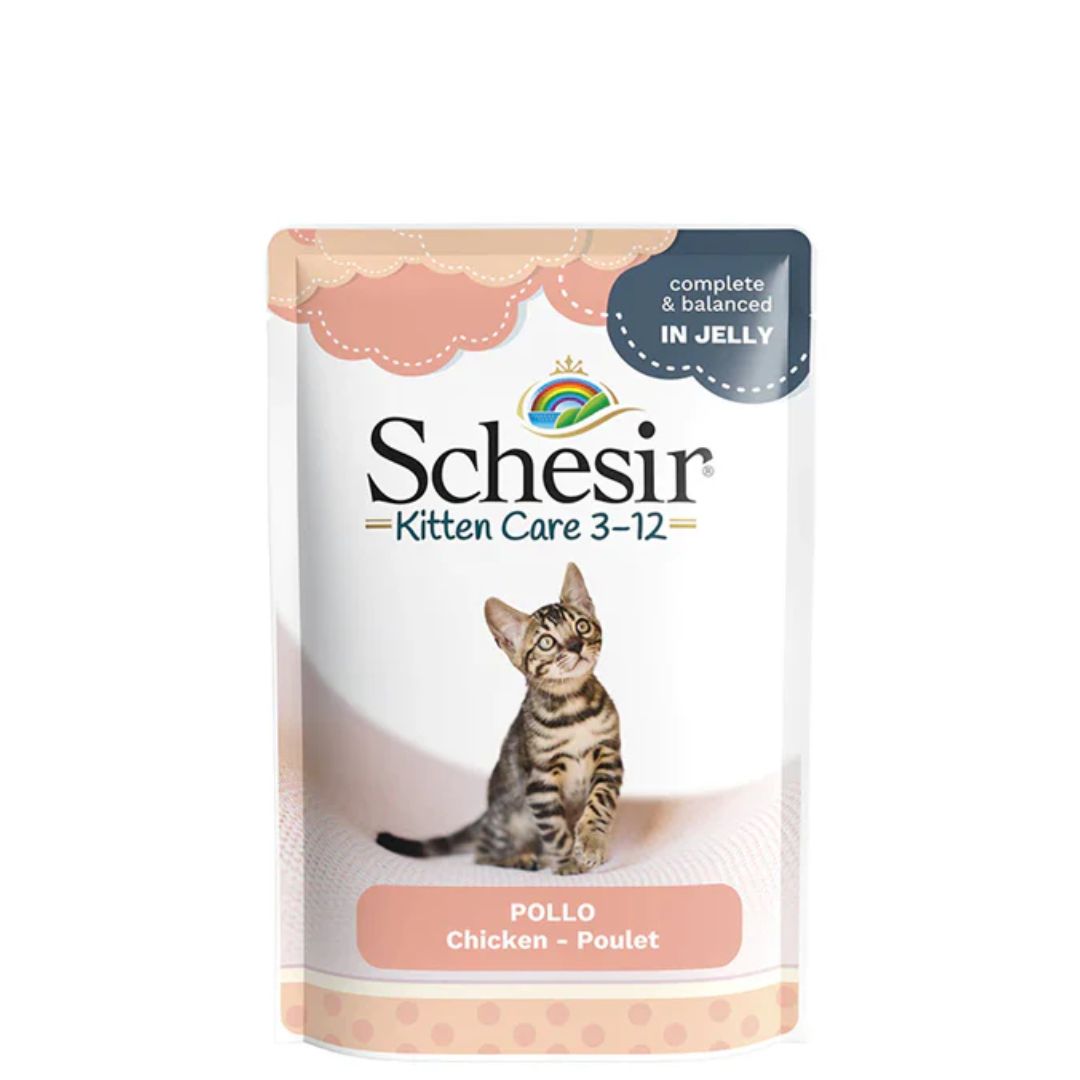 Schesir Kitten Care 3-12 in Jelly Chicken Pouch 85g