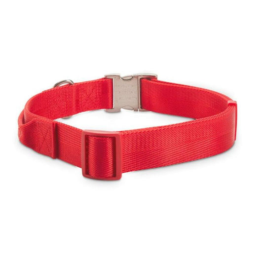 Duvo+ Collar Red Dog Collar Reddimension: 35-42Cm X 19Mm