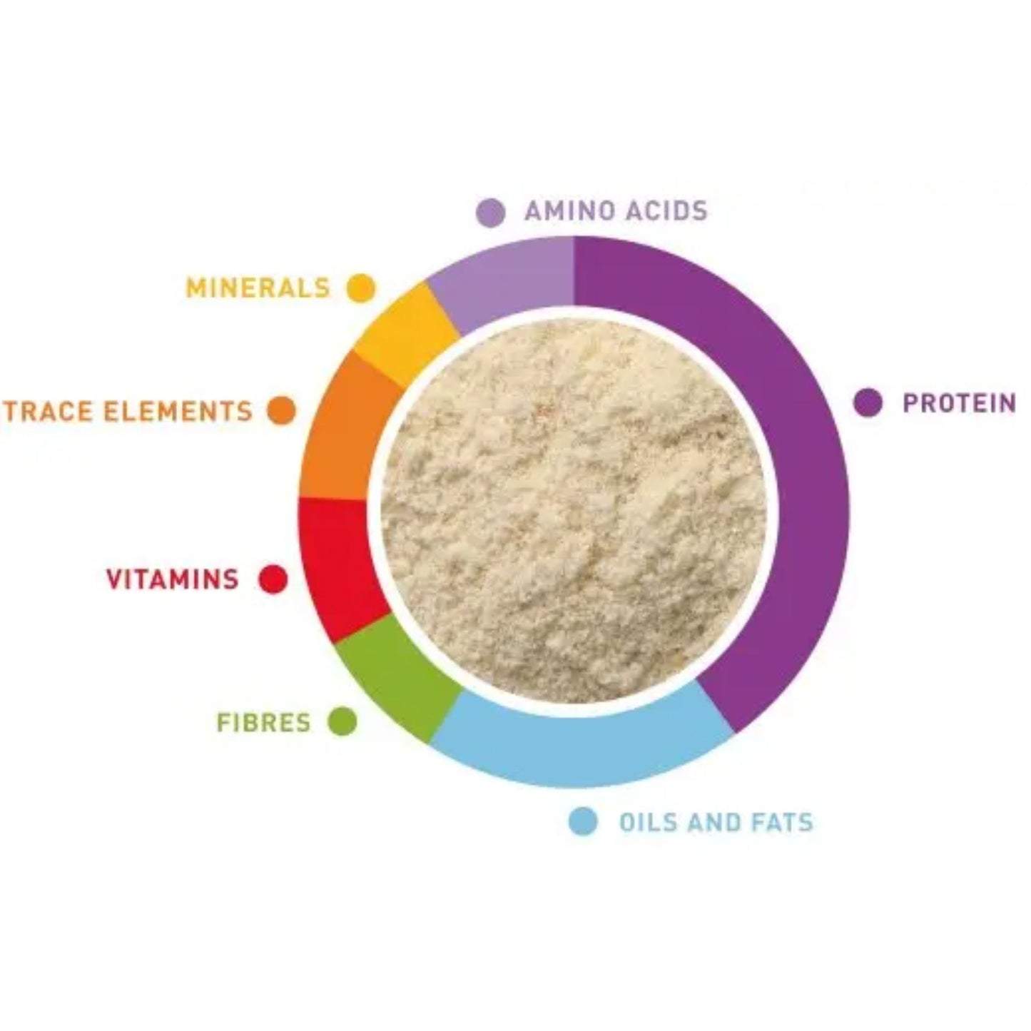 Padovan Baby Patee Universelle All Species Bird Formula – 100g