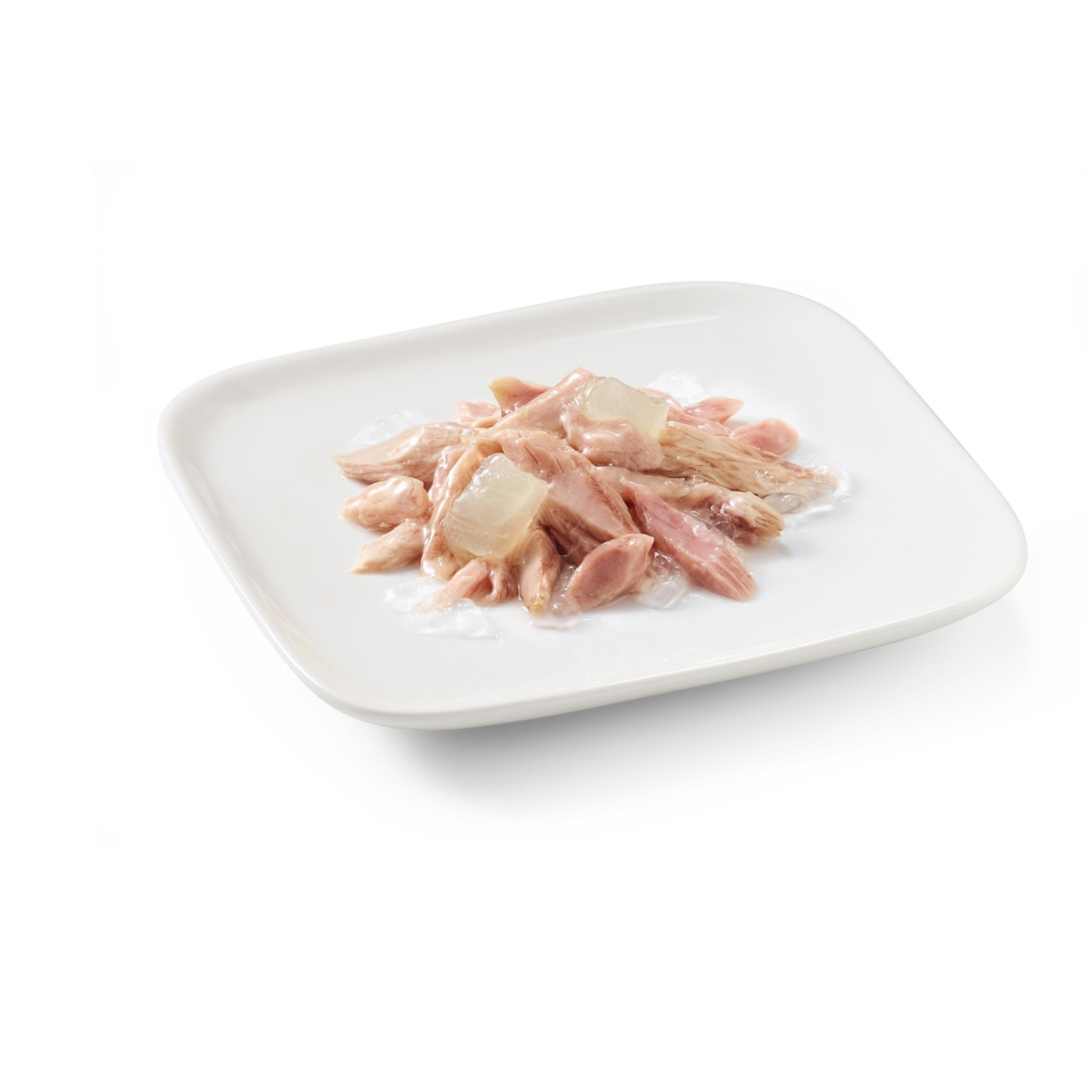 Schesir Puppy Wet Food Tuna & Aloe - 150G