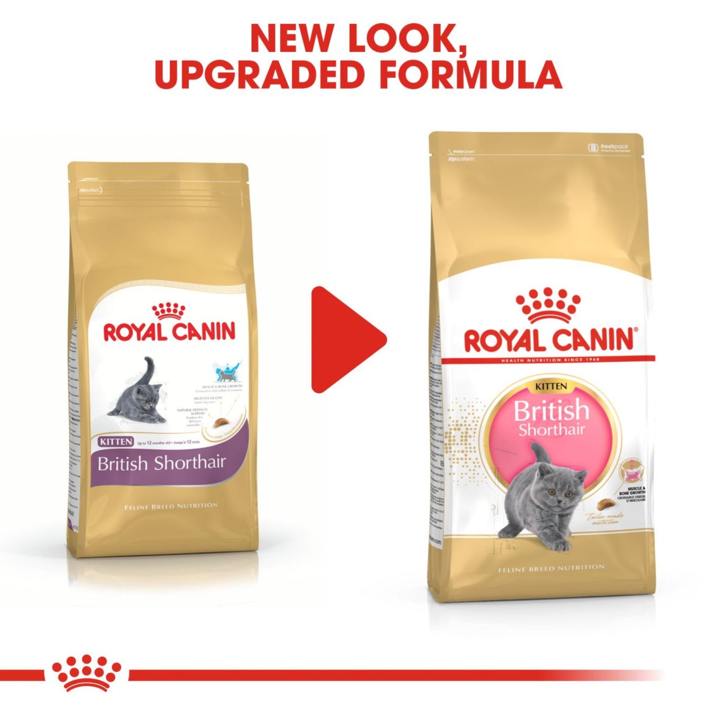 Royal Canin Feline Breed Nutrition British Shorthair Kitten Dry Food 2kg