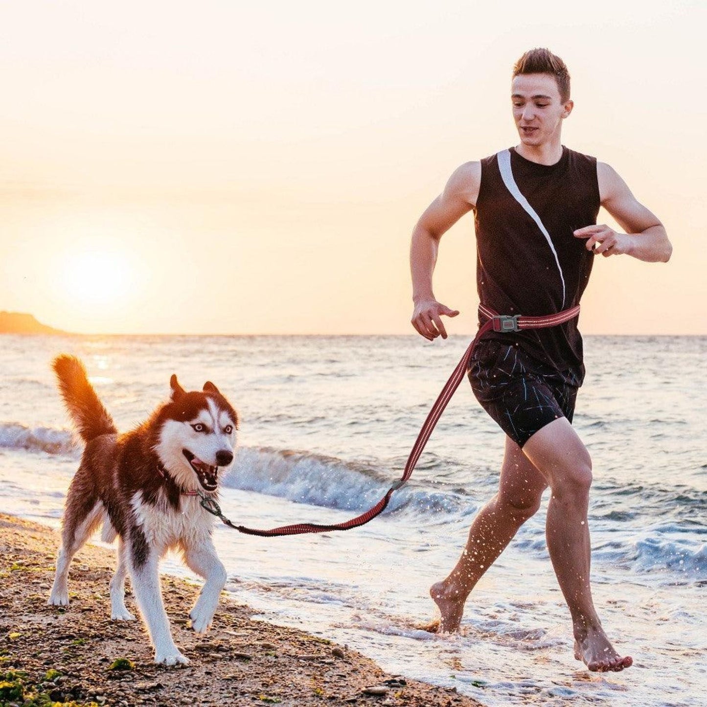 Doco Vario Easy Snap Bungee Leash 6Ft Color Orange Sizes - L