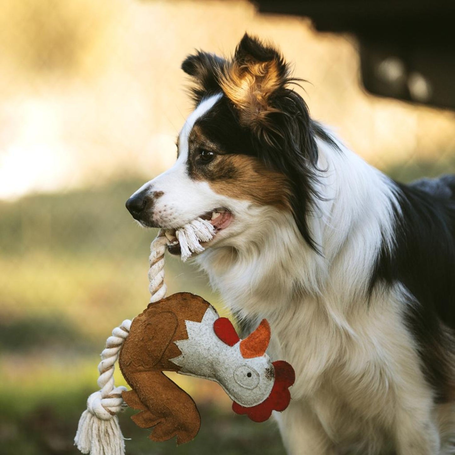 Duvo+ Farm Friends Ruby Rooster Dog Toy – 37cm