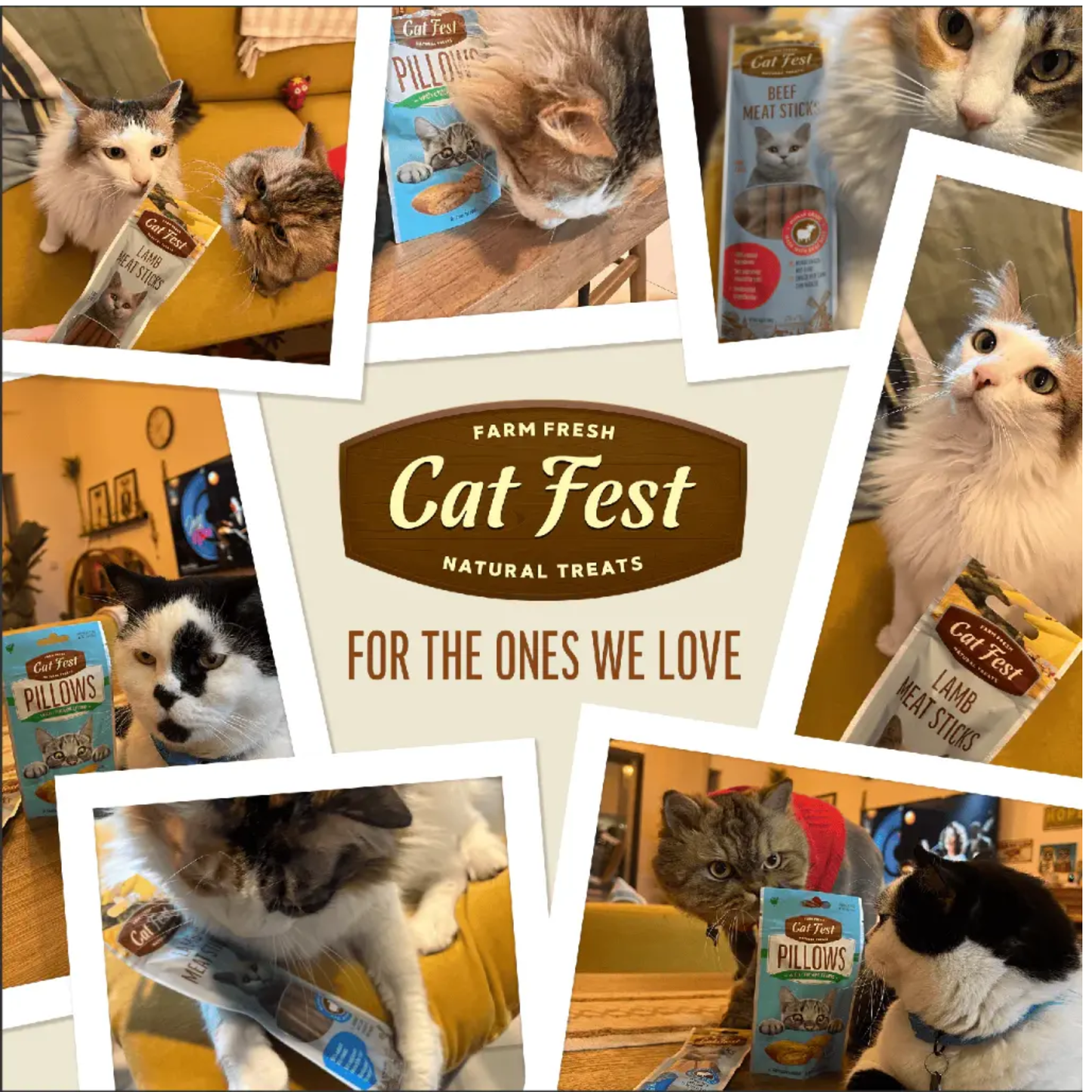 Cat Fest Pillows With Salmon Cream Omega-Rich Cat Snacks – 30g