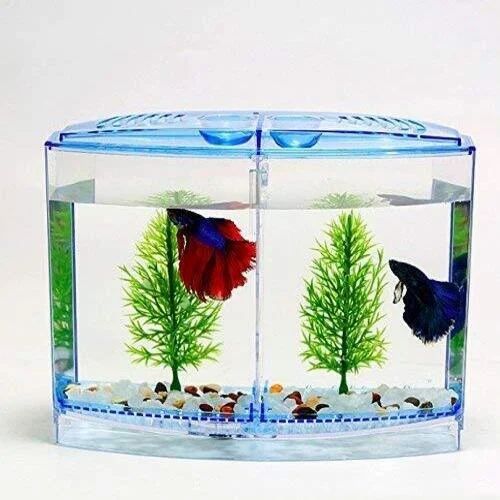 Aquabroo Betta Tank