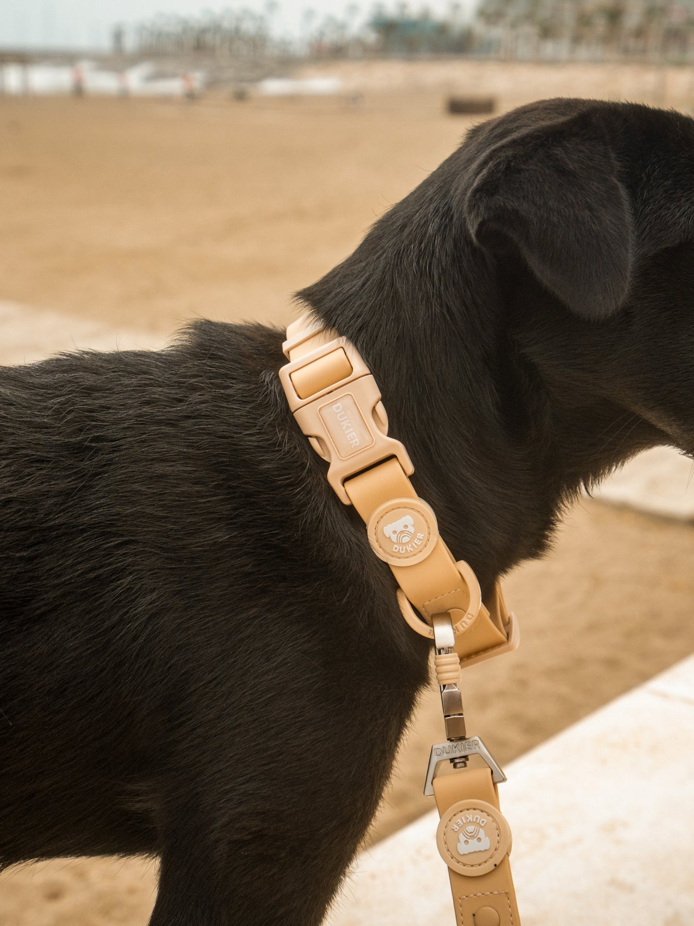 Duvo Forest Collar Beige - Dog Collar 65Cm / Ø15Mm Beigedimension: 65Cm X Ø15Mm