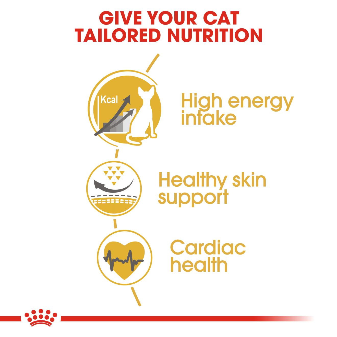 Royal Canin Feline Breed Nutrition Sphynx Adult Cat Dry Food 2kg